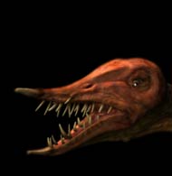 walking with dinosaurs rhamphorhynchus