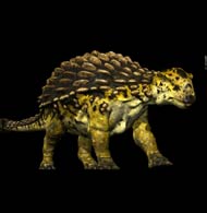 ankylosaurus complete fossil