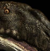 plateosaurus fossil